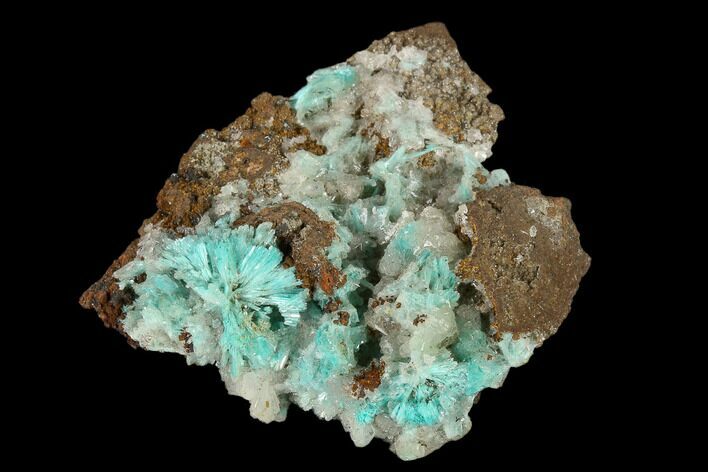Calcite & Fibrous Aurichalcite Crystal Association - Mexico #119187